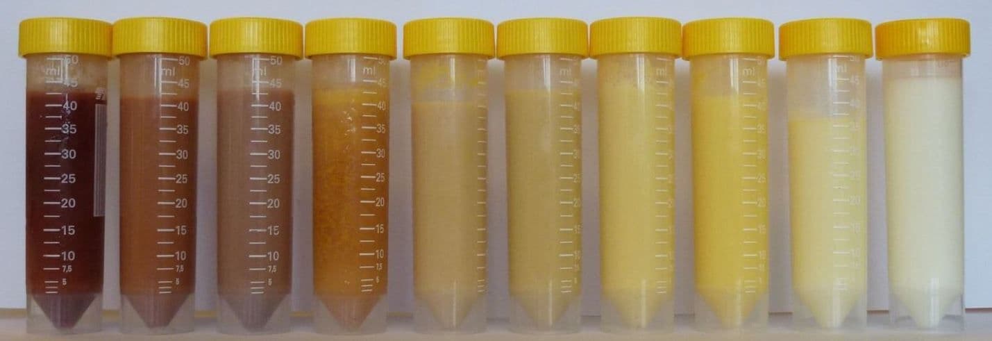 Image on La Santé de mon Troupeau