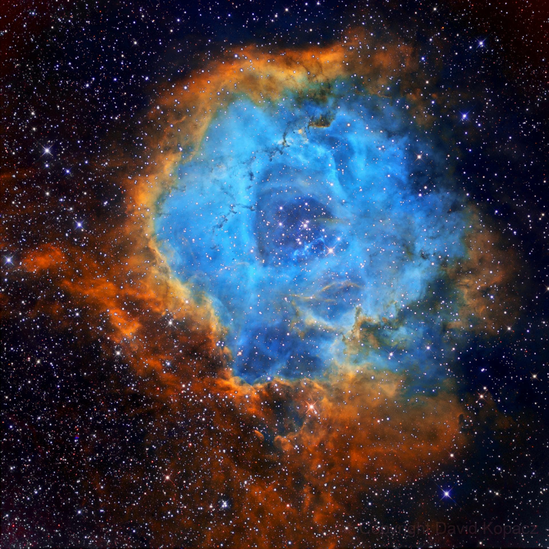 Photo by David Kopacz